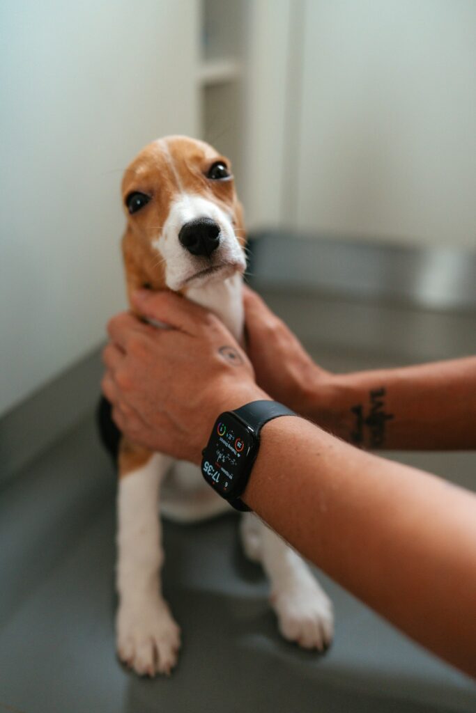 Veterinaria en Farmacia Bonaigua, Puente de Vallecas